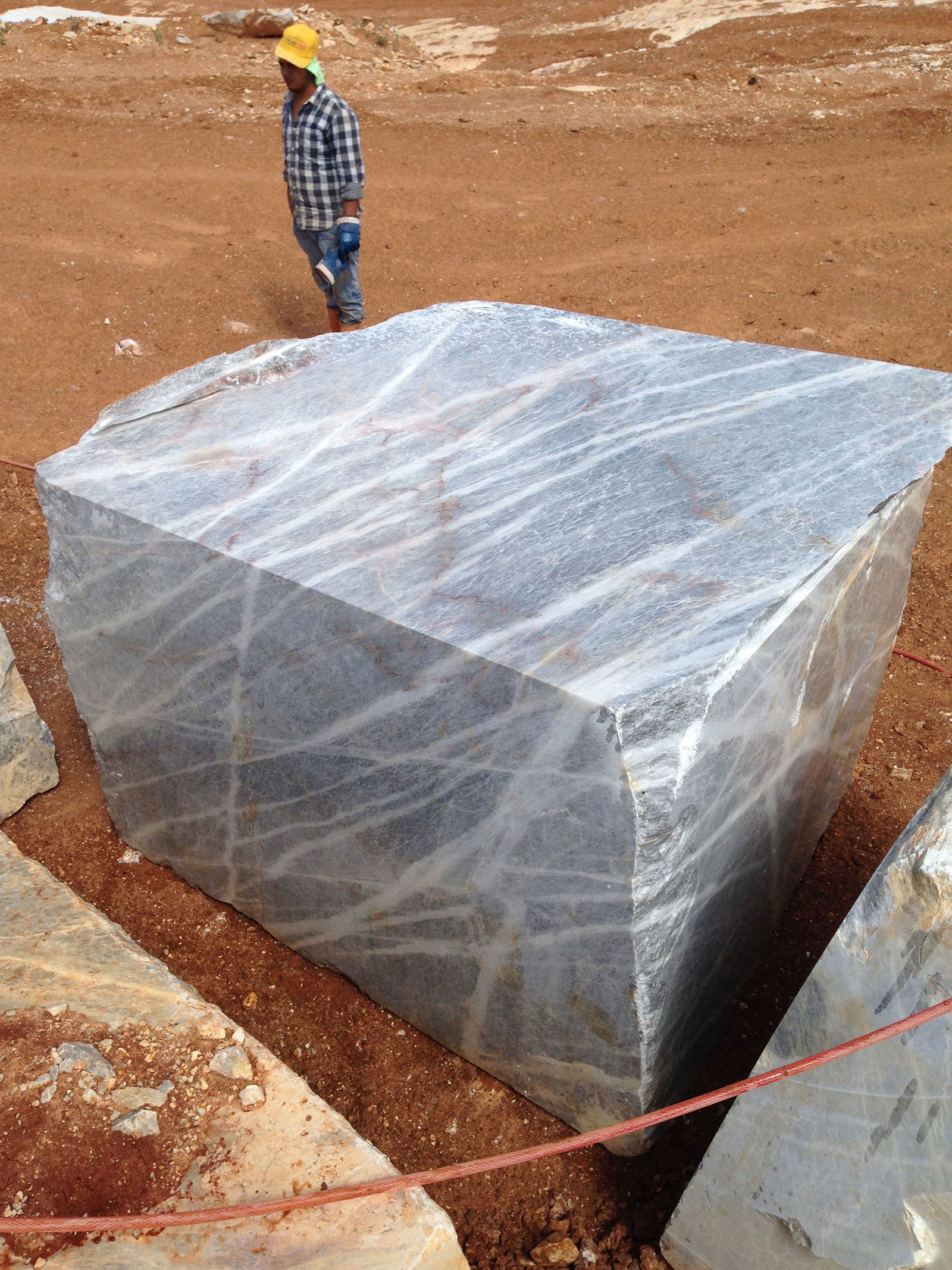 Fior Di Bosco Carnico