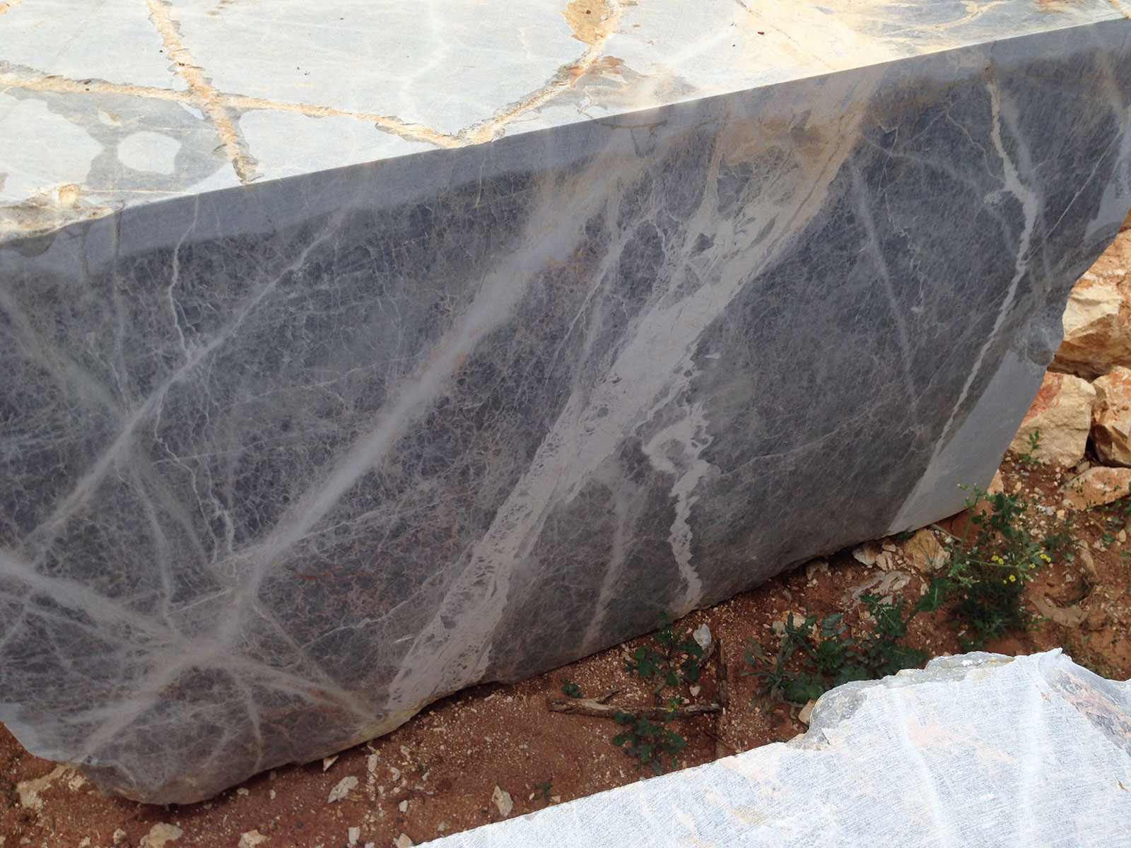 Fior Di Bosco Carnico